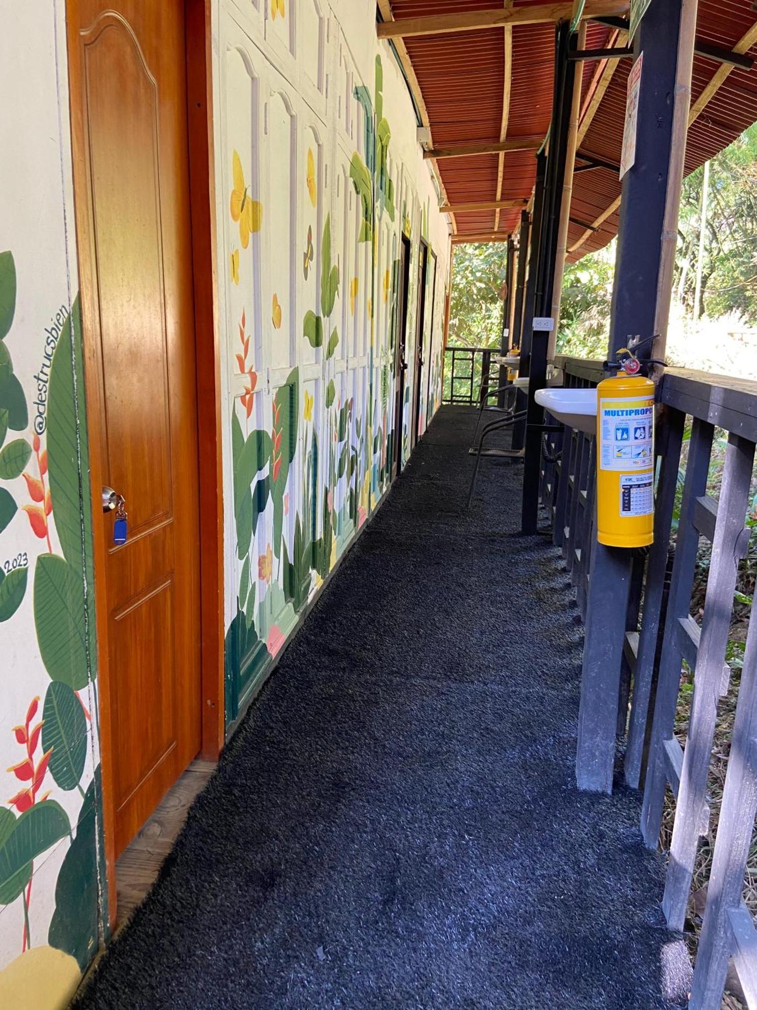 Hostal Las Mariposas Мінка Екстер'єр фото