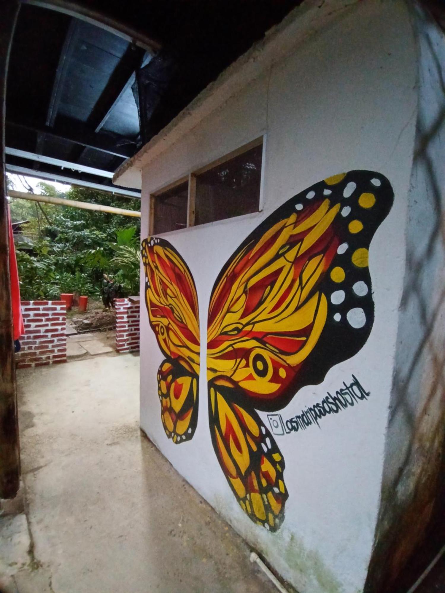 Hostal Las Mariposas Мінка Екстер'єр фото