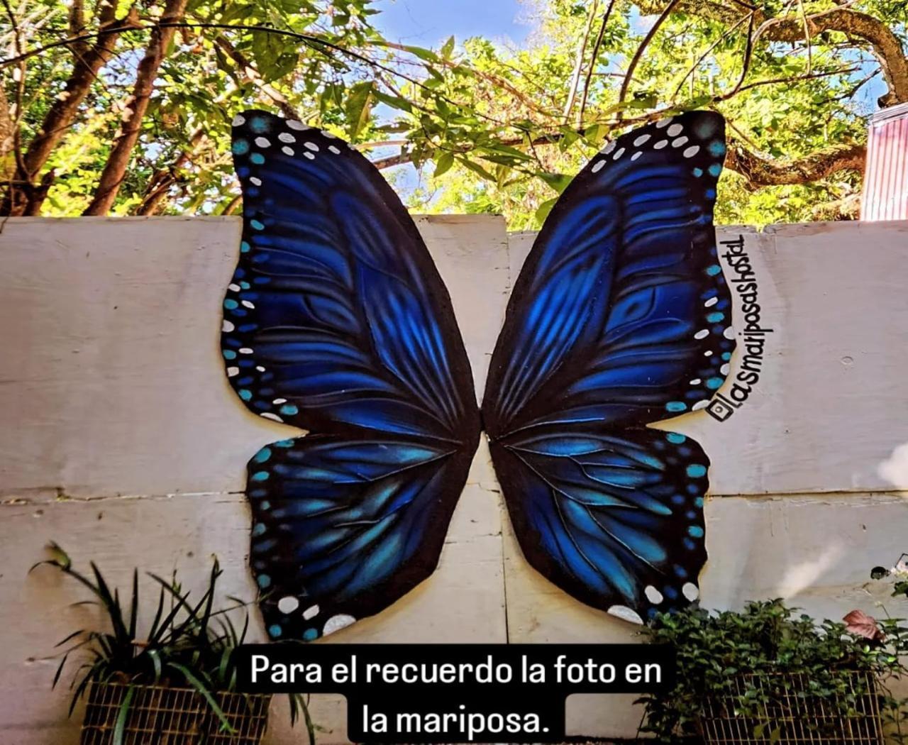 Hostal Las Mariposas Мінка Екстер'єр фото